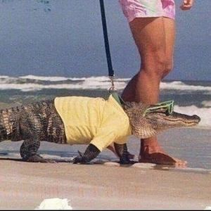 Meet your Posher, Elijah